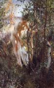 Unknow work 88 Anders Zorn